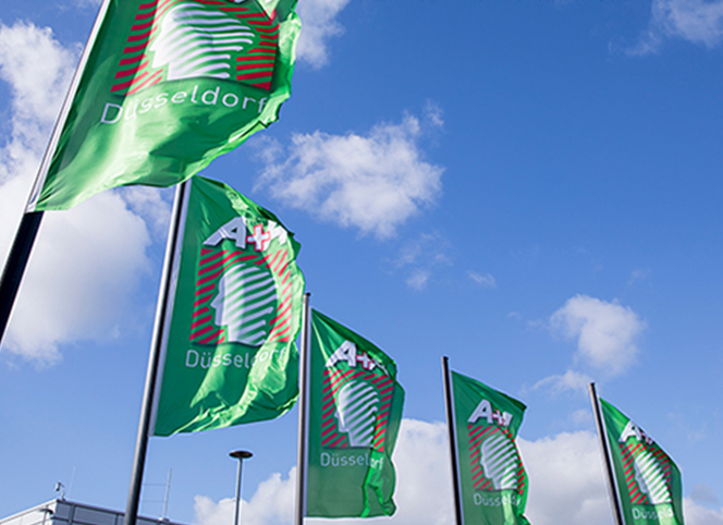 參加德國A+A安全展會，鑫磊受益良多